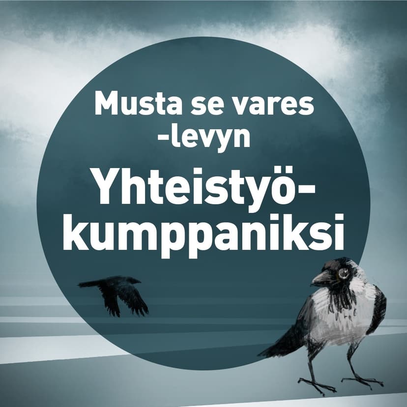 Yrityksille: Yhteistyökumppaniksi levylle